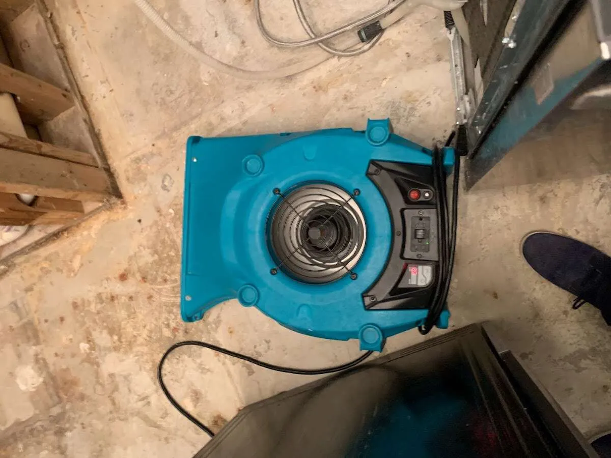 Air mover drying equipment for Mold Remediation & Removal in Waconia